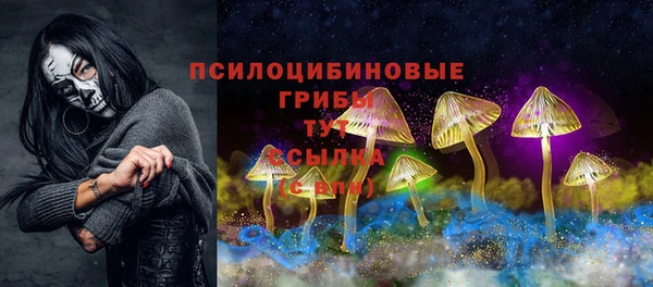 стафф Абинск