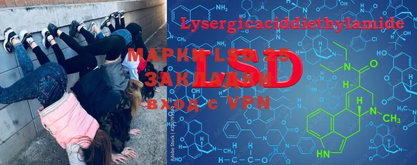 стафф Абинск